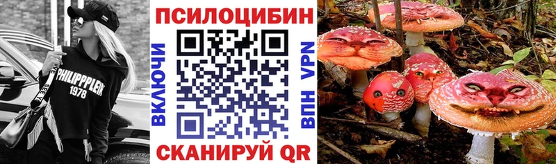 Галлюциногенные грибы мухоморы  Печора 