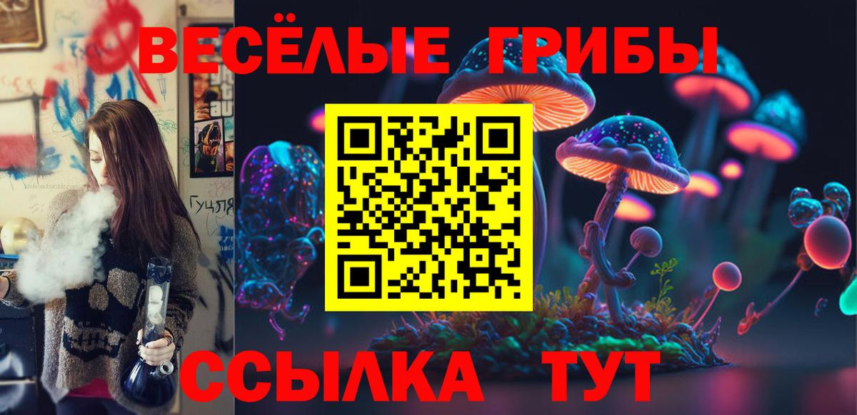 Псилоцибиновые грибы Psilocybe Печора