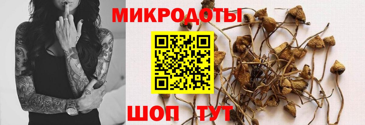 Псилоцибиновые грибы прущие грибы  Псилоцибиновые грибы MAGIC MUSHROOMS  Печора 