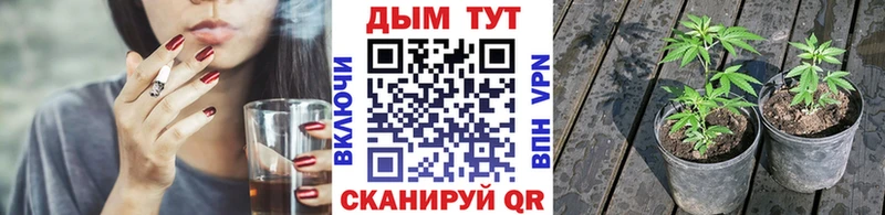 Бошки марихуана марихуана  Печора 